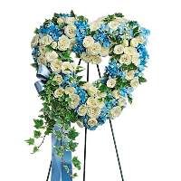 For The Service Image